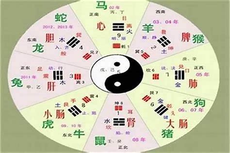 葵 五行|葵字的五行属什么